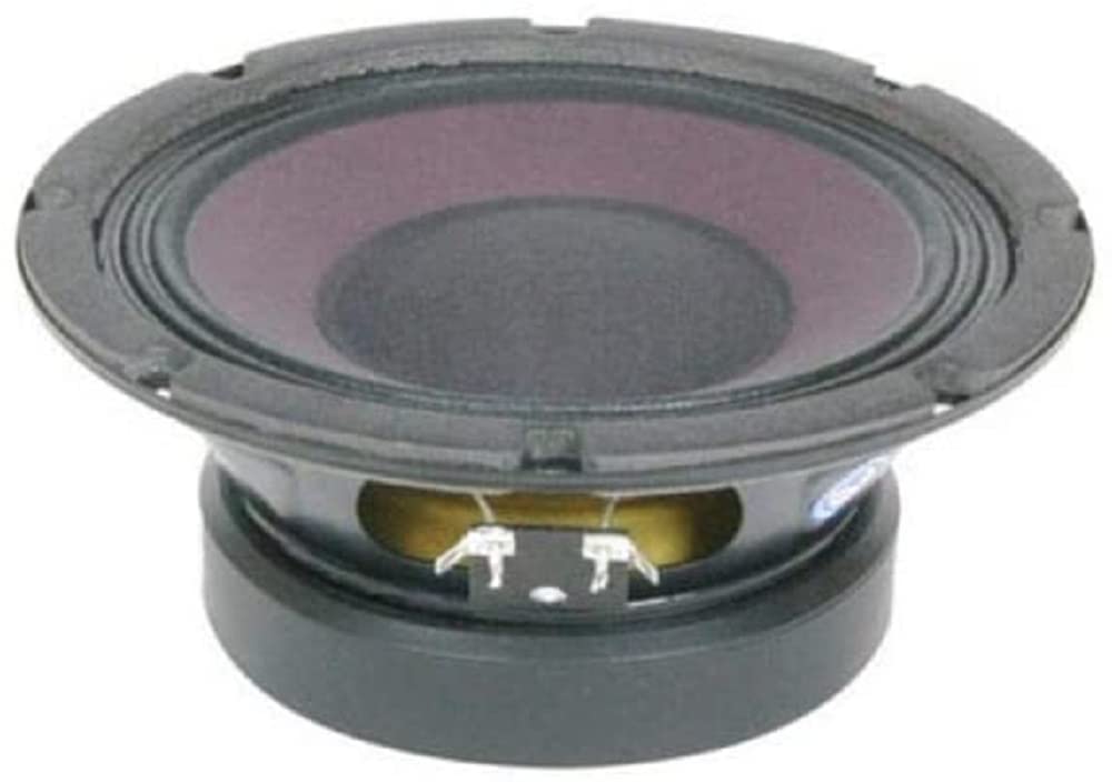 エミネンスベース用スピーカー 10インチ 16Ω 2個セットネオジウム